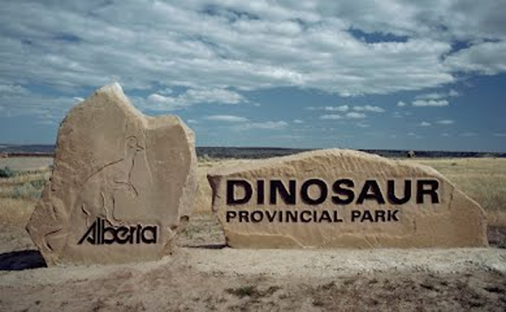 Visite du site touristique Dinosaur Park